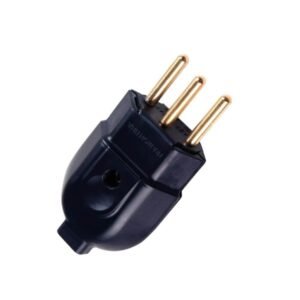 PLUG MACHO 2P+T 10A PT